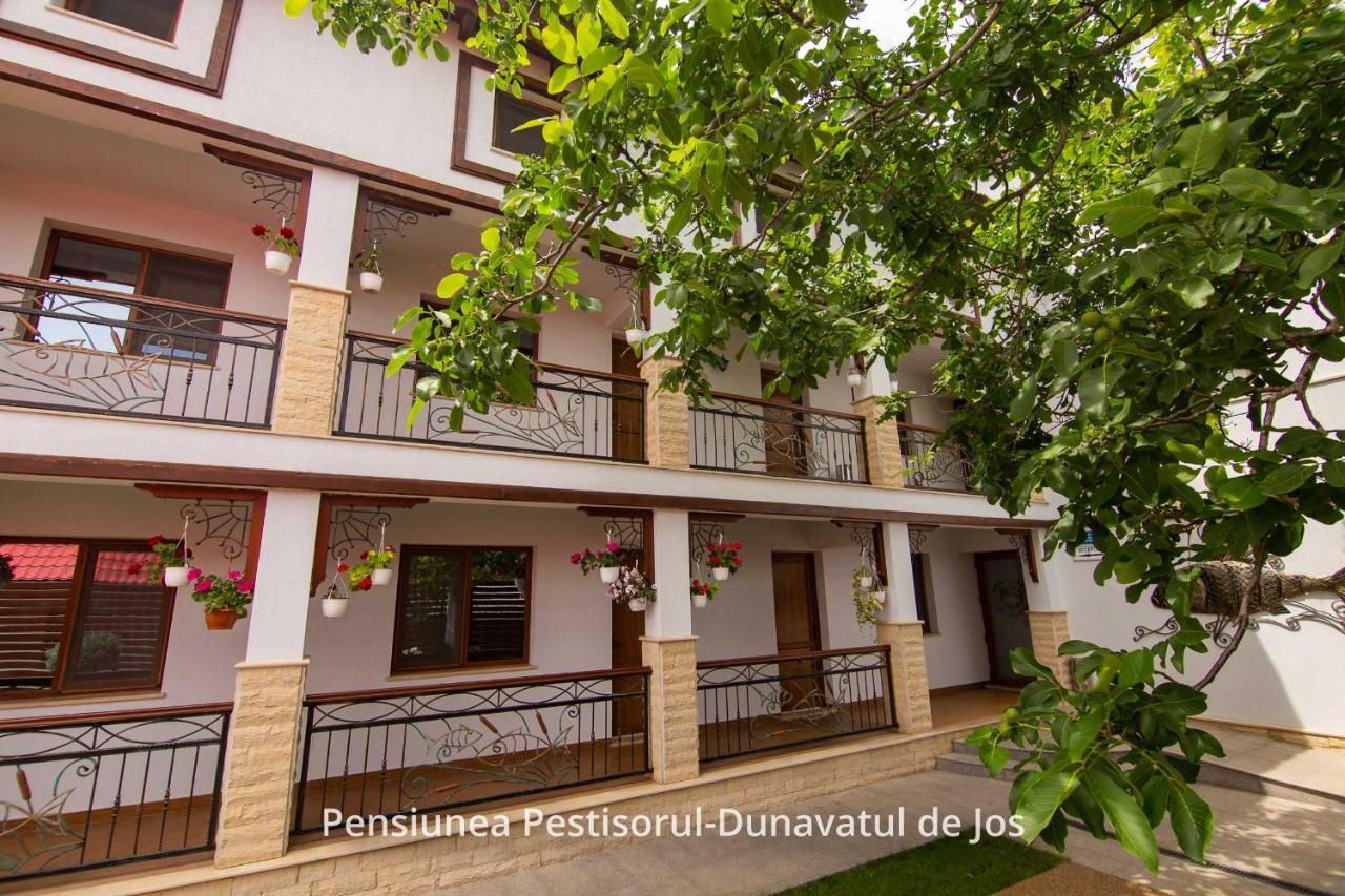 Pensiunea Pestisorul Dunavăţu de Jos Exterior foto