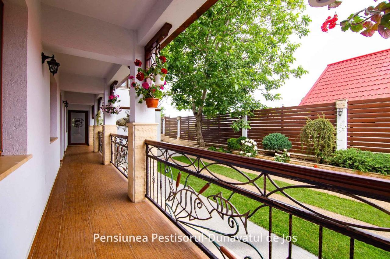 Pensiunea Pestisorul Dunavăţu de Jos Exterior foto